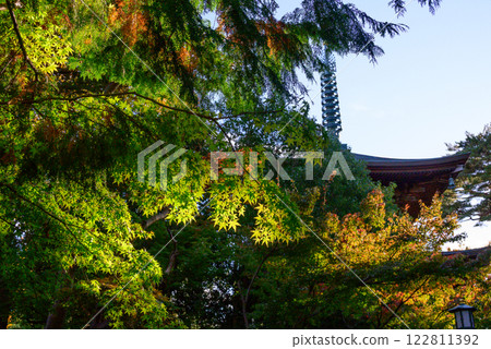Three-storied pagoda surrounded by autumn leaves 122811392