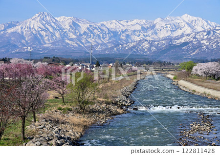 從羽馬橋望去的妙高山殘雪、火內山和櫻花 從羽馬橋望去的妙高山殘雪、火內山和櫻花 122811428