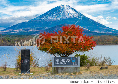 Mt. Fuji and Lake Shojiko in autumn foliage season 122811570