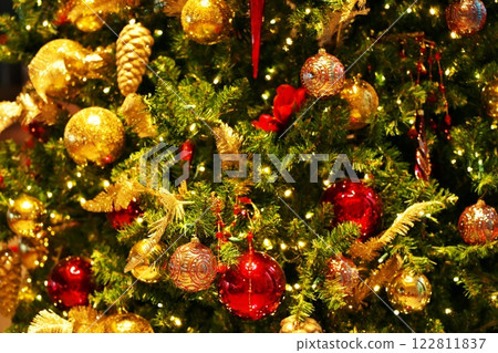 Christmas tree this year Christmas tree this year 122811837