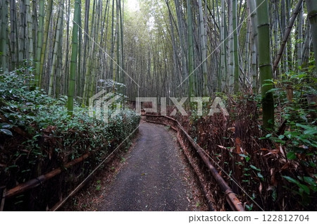 Kyoto Arashiyama bamboo forest small diameter Kyoto Arashiyama bamboo forest small diameter 122812704