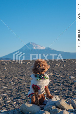 富士山和一條狗 富士山和一條狗 122812807