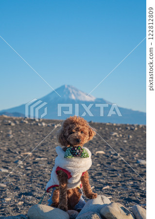 富士山和一條狗 122812809