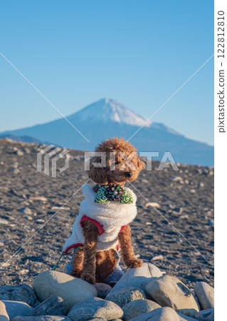 富士山和一條狗 122812810