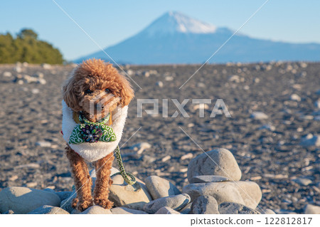 富士山和一條狗 122812817