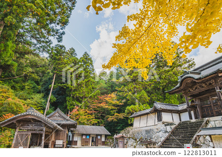 Scenery of Hokoji Temple in Hamamatsu City in autumn surrounded by autumn leaves (Shizuoka Prefecture) 122813011