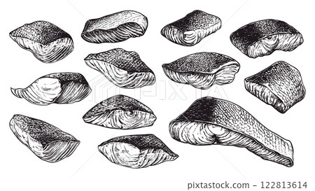 Salmon Fillet Pieces Set Ink Pen Style Illustration White Background Fresh Seafood Gourmet Cooking Healthy Nutrition Meal Protein Food Culinary Ingredients Organic Freshwater Fish 122813614