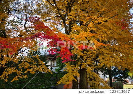 白山平泉寺的靜謐秋日 122813957