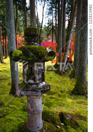 Quiet autumn at Heisenji Temple, Mt. Hakusan 122813992