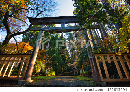 白山平泉寺的靜謐秋日 122813994