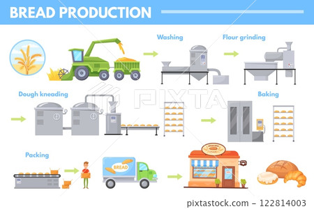 Cartoon bread production. Bakery products making process factory line wheat harvest commercial baking shop, flour industry manufacturing stage infographic neat vector illustration 122814003