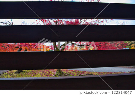 Quiet autumn at Heisenji Temple, Mt. Hakusan 122814047