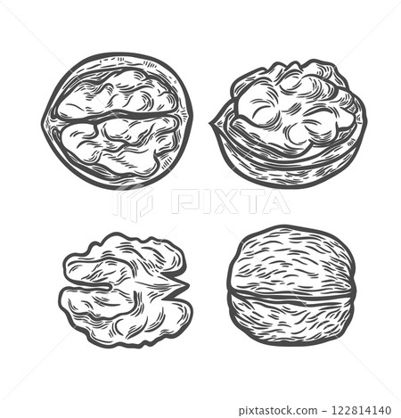 A set with the image of walnuts A set with the image of walnuts 122814140