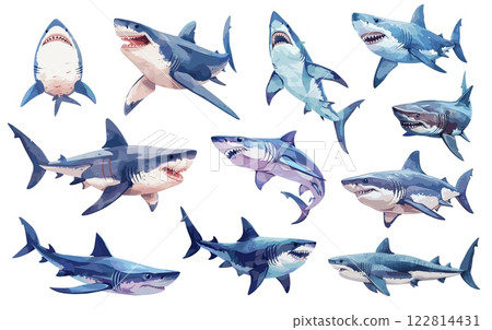 Cartoon sharks. Scary fish predator creature with scary jaws, sea underwater animal swimming set vector illustration Cartoon sharks. Scary fish predator creature with scary jaws, sea underwater animal swimming set vector illustration 122814431