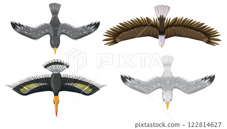 Majestic Birds in Flight Illustration 122814627