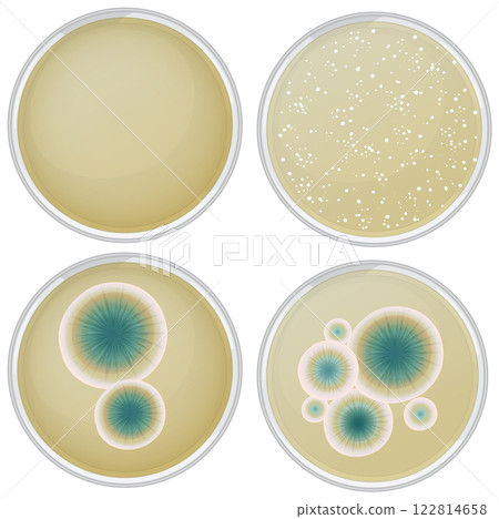 Penicillin Growth in Petri Dishes 122814658