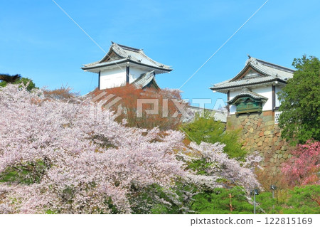 【石川縣】晴天的金澤城、石川門和盛開的櫻花 【石川縣】晴天的金澤城、石川門和盛開的櫻花 122815169