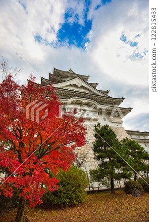 深秋的勝山城博物館 深秋的勝山城博物館 122815433