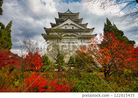 深秋的勝山城博物館 深秋的勝山城博物館 122815435