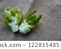 Bud potato 122815485