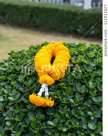Close-up of colorful marigold garland in outdoor garden symbolic cultural display 122815827