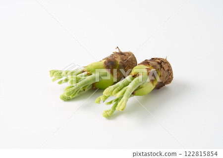Wild vegetable, taros, image 122815854