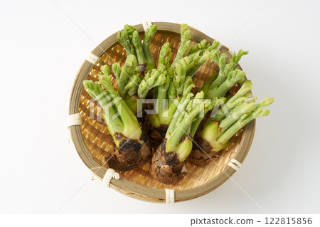 野菜，芋頭，圖像 122815856