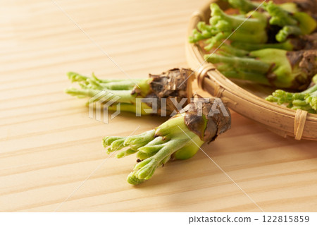 Wild vegetable, taros, image 122815859