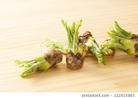 Wild vegetable, taros, image 122815865