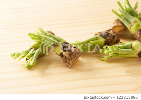 Wild vegetable, taros, image Wild vegetable, taros, image 122815866