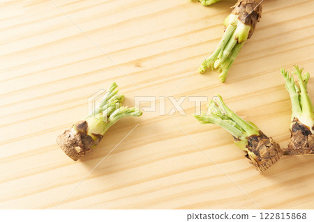 Wild vegetable, taros, image 122815868