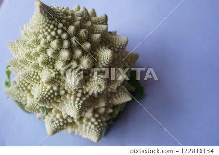 Vegetable Romanesco Vegetable Romanesco 122816134