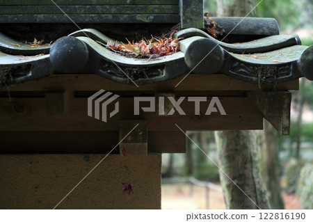 Earthen wall tile roof and autumn leaves Earthen wall tile roof and autumn leaves 122816190