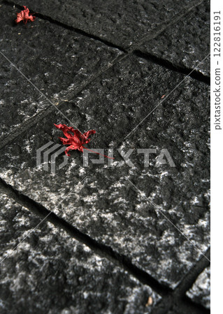 Autumn leaves that fell on the stone pavement Autumn leaves that fell on the stone pavement 122816191
