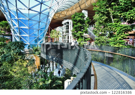 The Orchard at Hamad International Airport (Doha, Qatar) 122816386