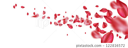 Rose petals flying on white background Rose petals flying on white background 122816572