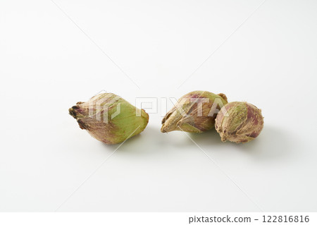 Wild plants, butterbur sprouts, image 122816816