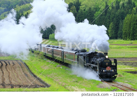 禁止海外線SL新鮮綠色 禁止海外線SL新鮮綠色 122817103