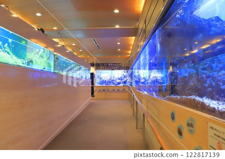 板橋區熱帶環境植物館迷你水族館 122817139