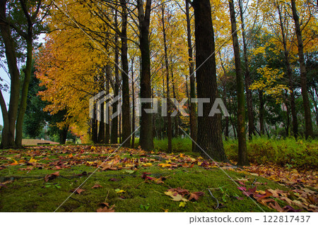 Autumn at the Municipal Museum 122817437