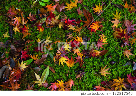 市立博物館的秋天 122817543