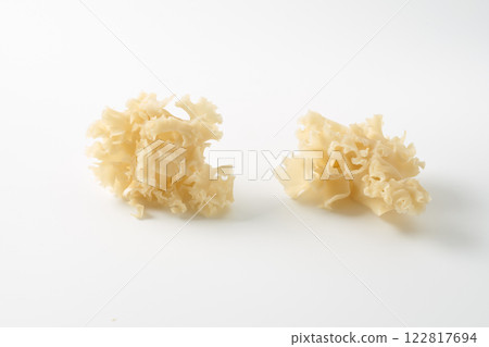 花瓣蘑菇圖像 花瓣蘑菇圖像 122817694