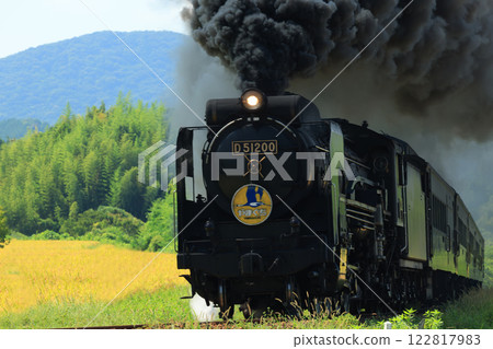 SL 山口 D51 5312 SL 山口 D51 5312 122817983