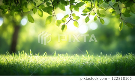 green leaves on grass background green leaves on grass background 122818105