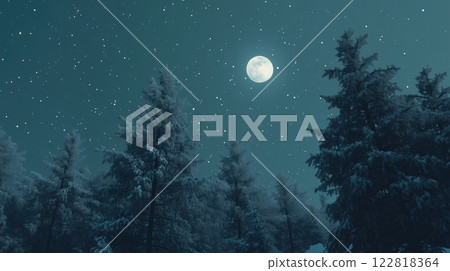 Snow-covered pine trees under a starry winter sky with the moon shining 122818364