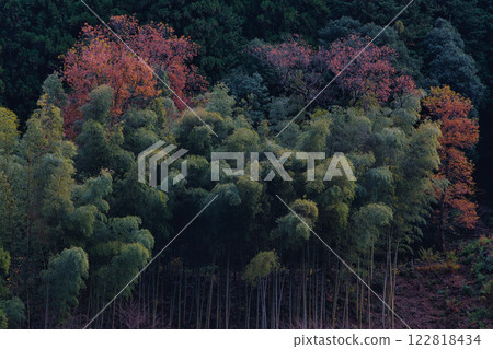 Satoyama in late autumn 122818434