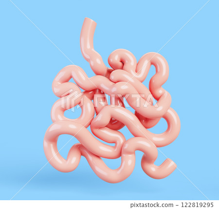 3d anatomy human small intestine medical icon render. Realistic internal body organ of digestive tract, gastroenterology concept. Duodenum, jejunum, ileum isolated on blue background. 3D illustration 3d anatomy human small intestine medical icon render. Realistic internal body organ of digestive tract, gastroenterology concept. Duodenum, jejunum, ileum isolated on blue background. 3D illustration 122819295