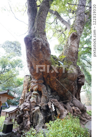 Kinomiya Shrine in Atami City 122819310