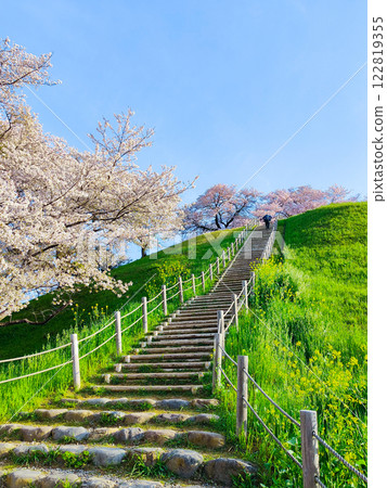 Marugameyama古墳（Sakitama Mound Tomb Park）的櫻花 122819355
