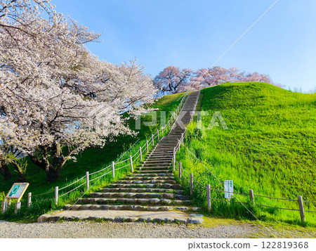 Marugameyama古墳（Sakitama Mound Tomb Park）的櫻花 122819368